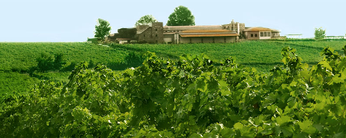 ΓΕΡΟΒΑΣΙΛΕΙΟΥ